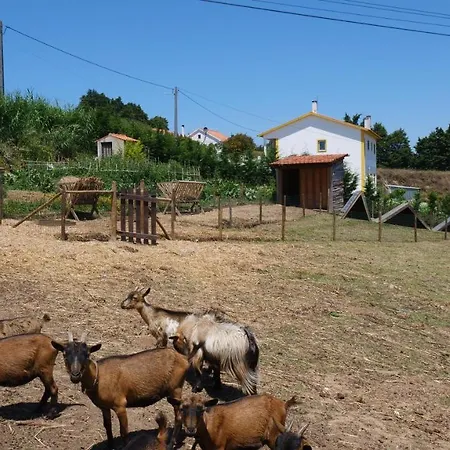 Casa Jasmim, Quinta Carmo - Alcobaça/nazaré Apartamento *