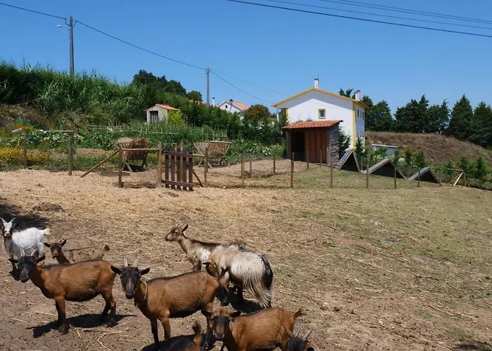 Casa Jasmim, Quinta Carmo - Alcobaca/nazare Apartment *